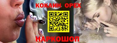 Альфа ПВП Камень-на-Оби